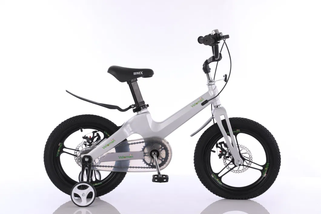 12&quot; 14&quot; 16&quot; 18&quot; Magnesium Alloy Integrated Frame Wheel Fork Children Kids Bicycle with Training Wheels Inner Brake Cable