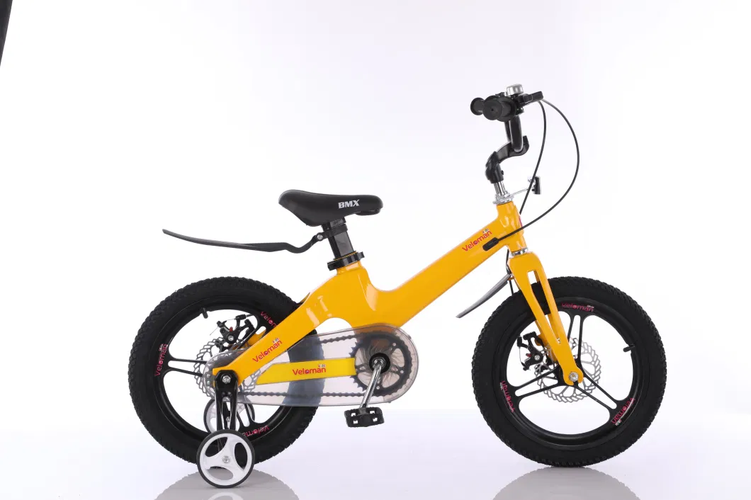 12&quot; 14&quot; 16&quot; 18&quot; Magnesium Alloy Integrated Frame Wheel Fork Children Kids Bicycle with Training Wheels Inner Brake Cable