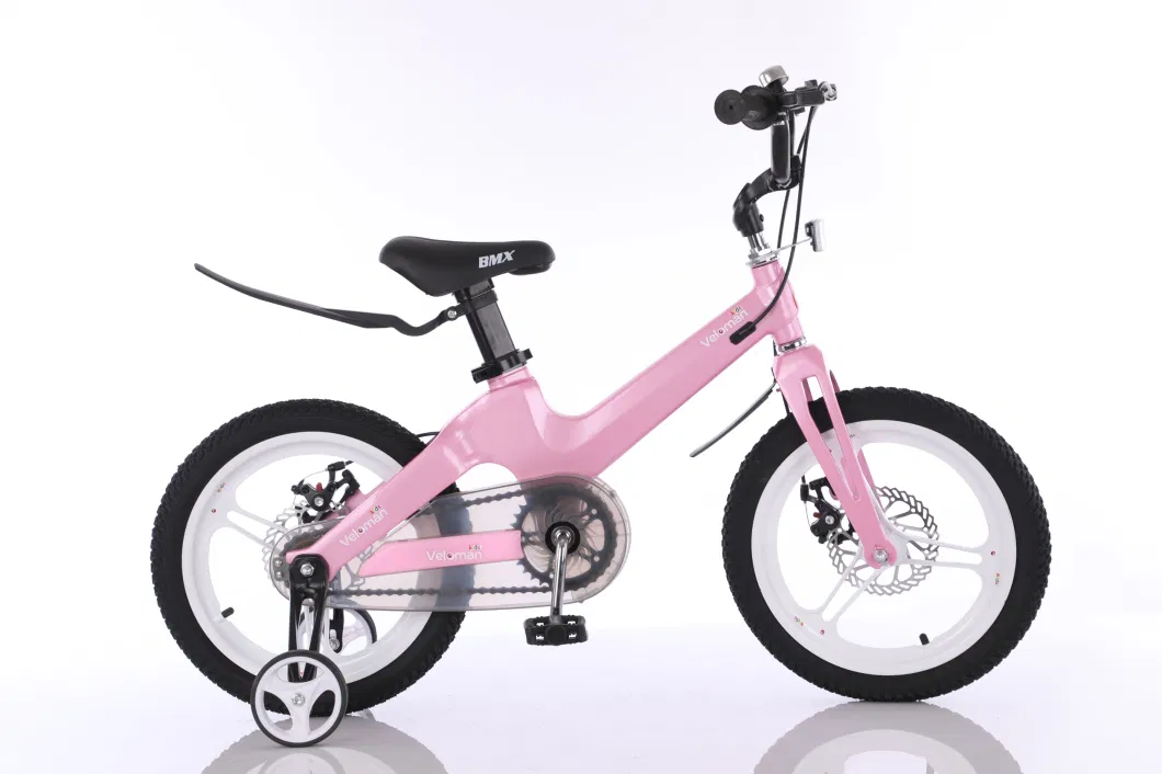 12&quot; 14&quot; 16&quot; 18&quot; Magnesium Alloy Integrated Frame Wheel Fork Children Kids Bicycle with Training Wheels Inner Brake Cable